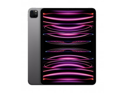 Apple iPad Pro 11''/WiFi + Cell/11''/2388x1668/16GB/2TB/iPadOS16/Space Gray