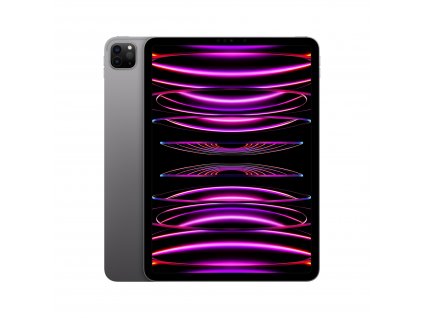 iPad Pro 11" Wi-Fi + Cellular 256GB Vesmírně šedý (2022)