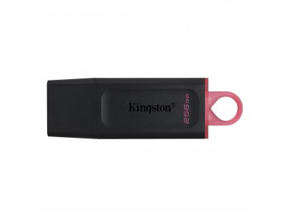 Kingston DataTraveler Exodia/256GB/USB 3.2/USB-A/Růžová