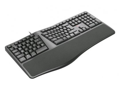 C-TECH klávesnice KB-113E USB, ERGO, černá, CZ/SK