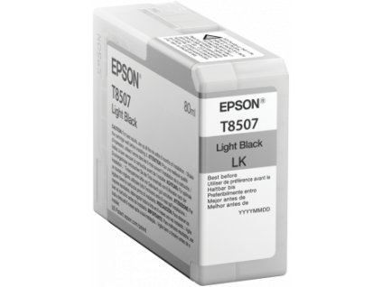 Epson Singlepack Photo Light Black T850700 UltraChrome HD ink 80ml