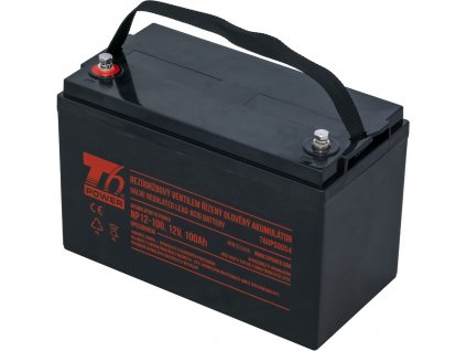 Akumulátor T6 Power NP12-100, 12V, 100Ah