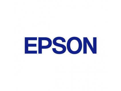 Epson Small cleaning stick