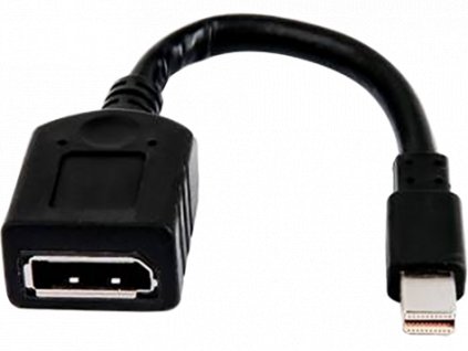 HP (Bulk 12) miniDP-to-DP Adapter Cables