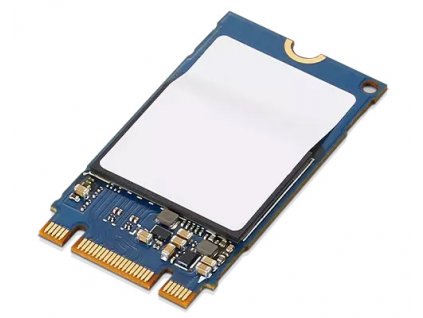 ThinkPad 1TB PCIe NVMe M.2 2242 SSD