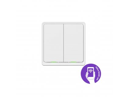 Tesla Smart Switch Dual ZigBee