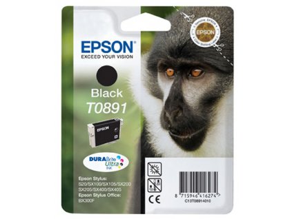 Inkoust Epson T0891 černý