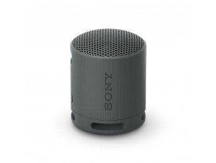 Sony SRS-XB100/Mono/Černá