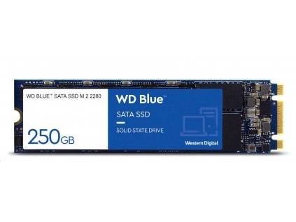 WD BLUE SSD 3D NAND WDS250G3B0B 250GB SA510 M.2 SATA, (R:555, W:440MB/s)