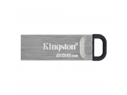 Kingston DataTraveler Kyson/256GB/USB 3.2/USB-A/Stříbrná