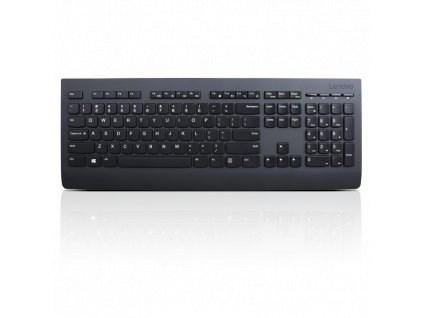 Lenovo Professional Wireless Keyboard and Mouse Combo - Czech