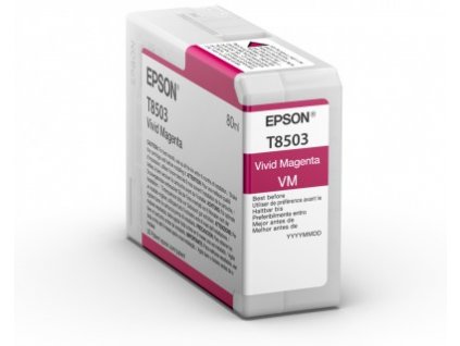 Epson Vivid Magenta T54X300 UltraChrome HDX/HD
