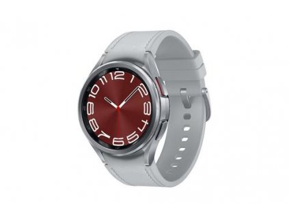 SAMSUNG Galaxy Watch 6 43mm Silver (smart hodinky)