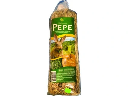 20540 1018764 scaled