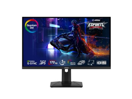 MSI Gaming monitor G274QPF QD, 27"/2560x1440 (WQHD)/ Rapid IPS, 170Hz/1ms/1000:1/400cd / m2/2x HDMI/DP/USB-C