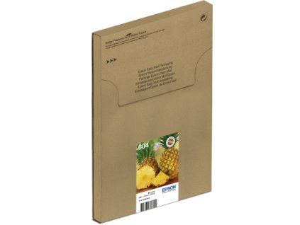 EPSON Multipack 4-colours 604 EasyMail