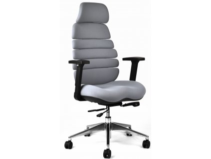 Ergonomická kancelářská židle SPINE šedá, s opěrkou hlavy