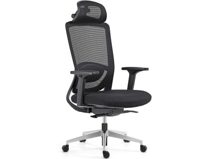 Ergonomická kancelářská židle ARTEA černá