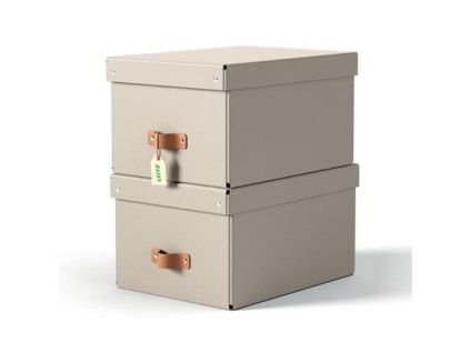 LEITZ úložný box, karton, velikost M, 2 ks béžový