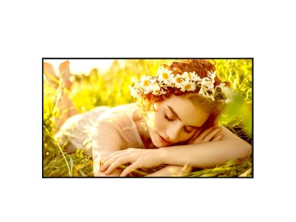 50'' LG LED 50UL5 - UHD,500cd,IPS,24/7