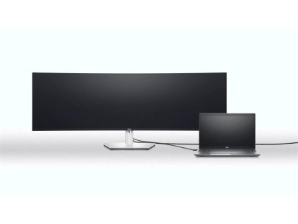 Dell UltraSharp U4924DW/LCD 49"/8ms/1000:1/2xHDMI/DP/USB 3.0/USB-C/DOCK/DQHD(5120x1440)/repro/IPS panel/cerny