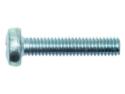 PROTEC Šroub M 6x 20 válcová hlava pozink (100ks)
