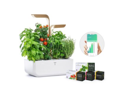Véritable CONNECT - Smart automatický květináč s regulací osvětlení, bílá-champagne + 4 bylinkové náplně