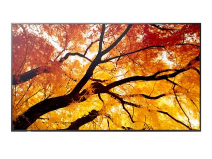 75'' LED SHARP M752,3840x2160,IPS,24/7,500cd