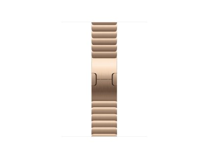 Watch Acc/42/Gold Link Bracelet