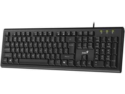 Genius KB-113 Klávesnice, drátová, USB, CZ+SK layout, Copilot klávesa, černá