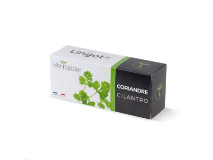 Véritable Lingot Koriandr