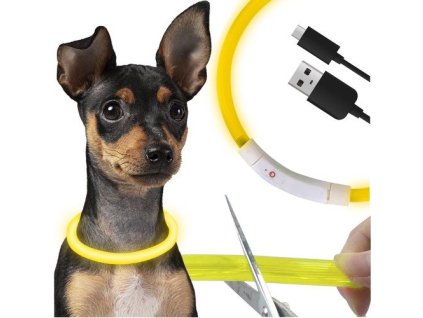 Svíticí obojek pro psy LED Purlov 24200, regulovatelný, nabíjecí USB-C