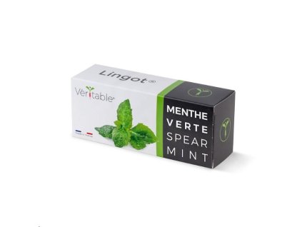 Véritable Lingot Máta klasnatá