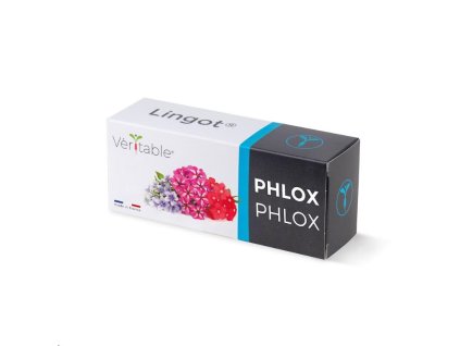 Véritable Lingot Flox