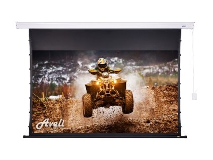 Nástěnné plátno AVELI PREMIUM,metal,265x149(16:9) 120''