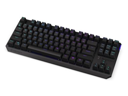 ENDORFY Klávesnice Thock TKL Wireless Black, Mechanická, Bezdrátová, ARGB, černá