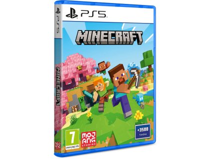 PS5 - Minecraft