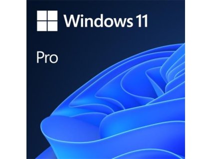 OEM Windows 11 Pro 64Bit Eng 1pk DVD
