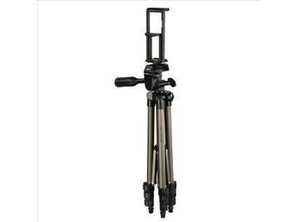 Enlargment