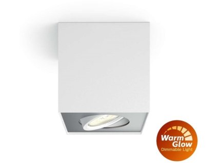 Philips Box 50491/31/P0 1xLED IP20 bílé