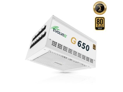 EVOLVEO G650, 650W/ ATX 3.1/ 80+ GOLD/ Modular