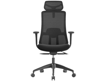 Ergonomická kancelářská židle WISDOM, černá