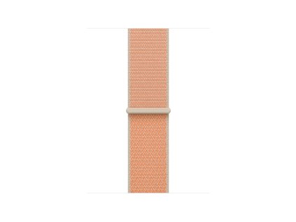 Apple Watch 40mm Cantaloupe Sport Loop