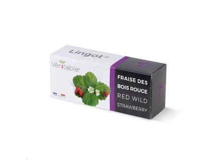 Véritable Lingot Divoké červené jahody