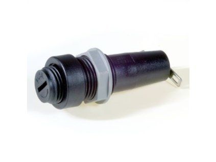 pim 746881 1