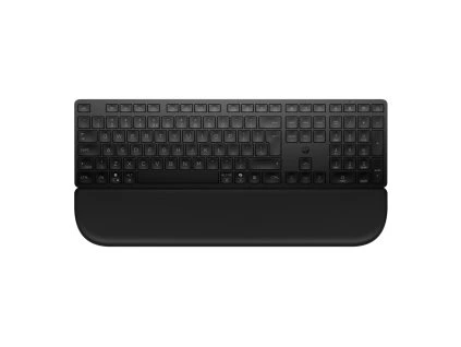 HP 580K Multi-Device Keyboard Palm Rest