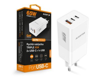 ALI Síť Nab.65W, 2xUSB-C + USB CHPD0026