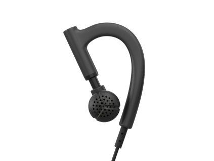 ear hook