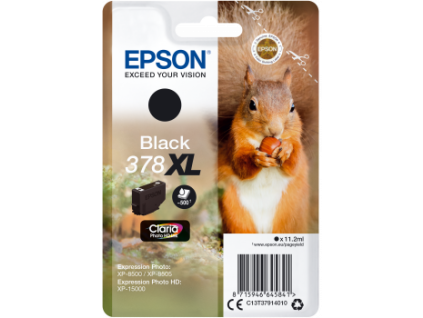 378xl squirrel k single front png s