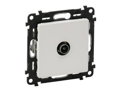 pim 556289 1